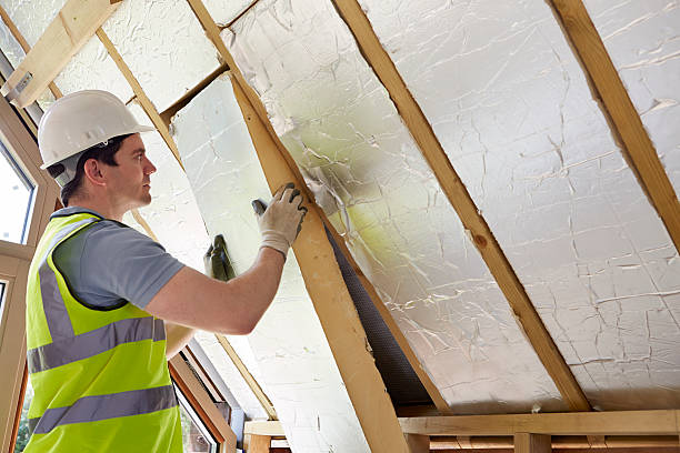 Best Wall Insulation Contractor  in Union Point, GA